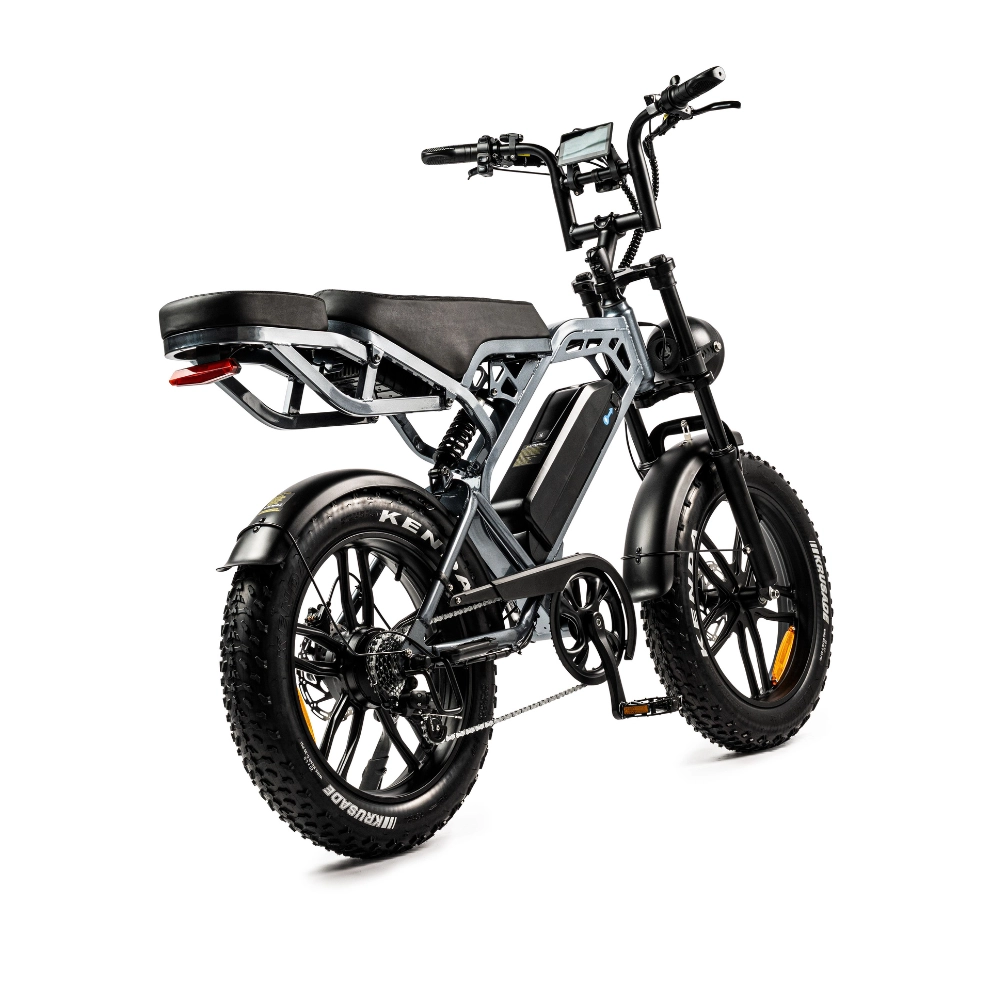 Fatbike of elektrische fiets vergelijken