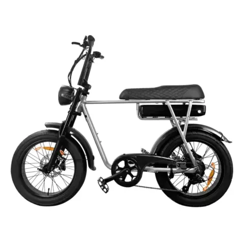 EB2 elektrische fatbike zilver zijaanzicht