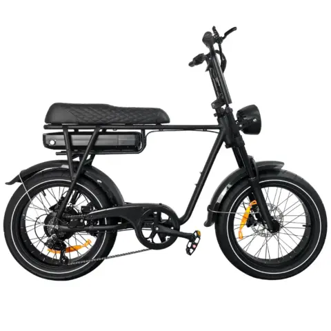 EB2 Pro fatbike zwart met torque sensor