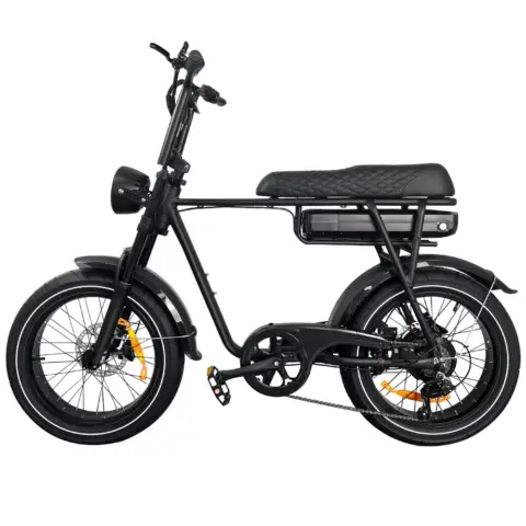 EB2 Pro elektrische fatbike zwart zijaanzicht