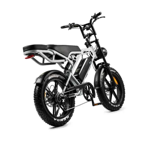 V20 Pro elektrische fatbike lichtgrijs