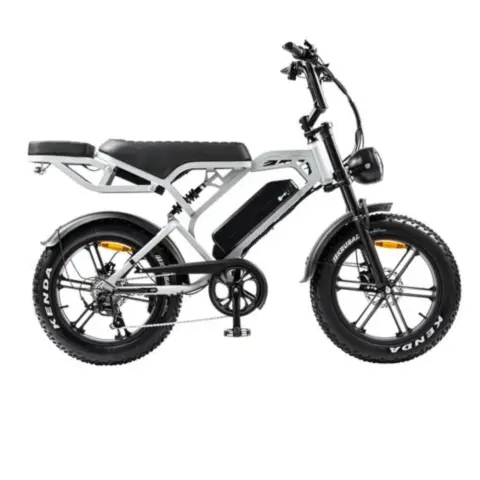 V20 Pro fatbike lichtgrijs 250W