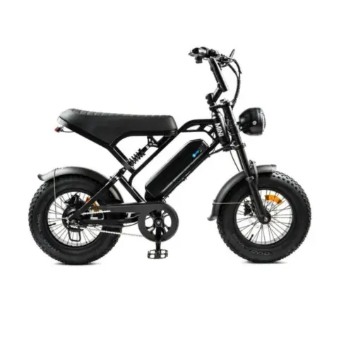 V20 Fatbike