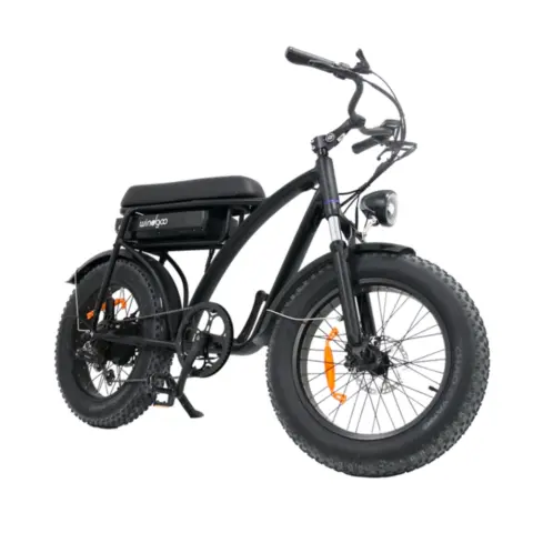 Fatbikes